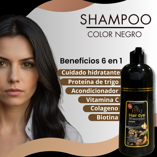 Shampoo con Tinte Natural 6 en 1 de Ginseng LNQ – Cubre Canas, Fortalece y Da Brillo | Tinte Capilar con Extractos Naturales