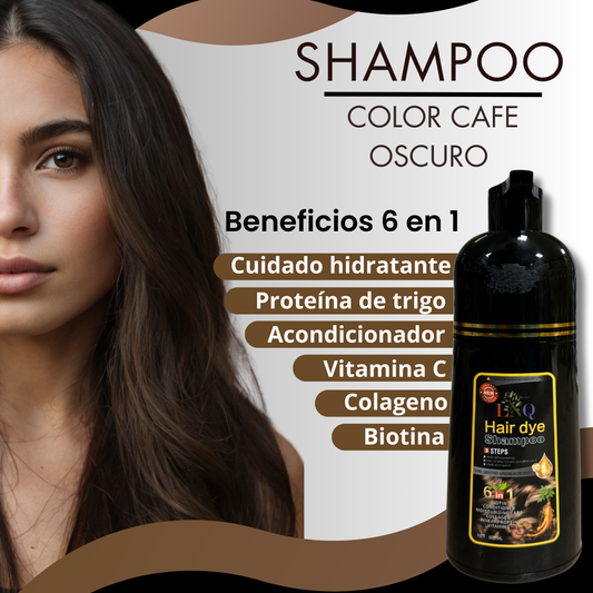 Shampoo con Tinte Natural 6 en 1 de Ginseng LNQ – Cubre Canas, Fortalece y Da Brillo | Tinte Capilar con Extractos Naturales